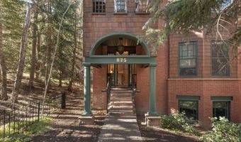 825 Ute Ave A, Aspen, CO 81611