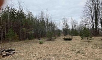 9718 NE FOREST Ln, Alden, MI 49612