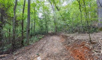 23 59 Ac Chestnut Flats Rd, Andrews, NC 28901