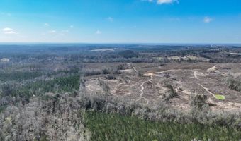 919 County Road 6628, Banks, AL 36005
