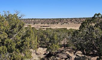 45 N 8579, Concho, AZ 85924