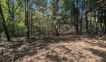 N Forest Lake Drive, Alger, MI 48610