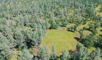 Buffalo Drive, Anderson, CA 96007