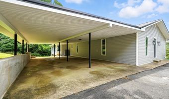 3270 Ripley Island Rd, Afton, TN 37616