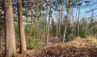 W McMann & Porcupine Hill Road lot 3, Addison, ME 04606