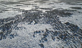 Cottonwood Road, Bridger, MT 59014