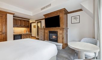 415 E Dean St Unit 36 Week 33, Aspen, CO 81611