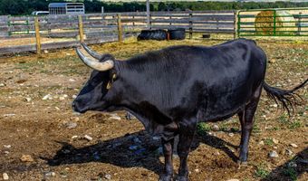 2733 Mt Highway 69, Boulder, MT 59632