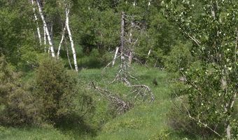 Sunrise Ridge Trail, Bozeman, MT 59718