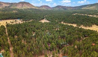 8 County Road 2267, Alpine, AZ 85920