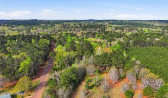 Harrisville Braxton Road, Braxton, MS 39044