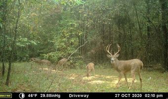 000 Hwy 105, Atkins, AR 72823