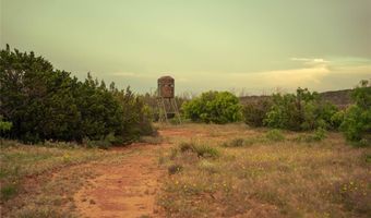 767 CR 301, Abilene, TX 79603