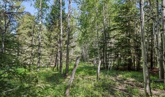 Tbd Smokey Mountain Drive, Anaconda, MT 59711
