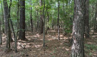 920 A Auburn Dr, Bogue Chitto, MS 39629