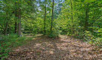 1125 39th St, Allegan, MI 49010