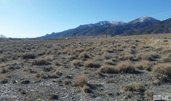 102 Ophir Rd, Austin, NV 89310