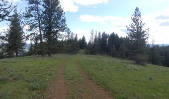 001 Hansen Ridge Rd, Anatone, WA 99401