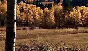 1554 Shadow Run, Ashton, ID 83420