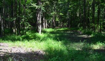 0 County Rd 22, Auburn, AL 36830