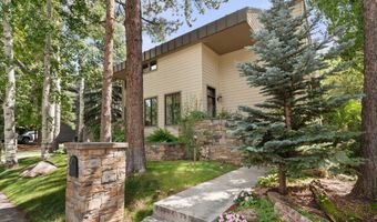 123 W Hyman Ave Unit A, Aspen, CO 81611