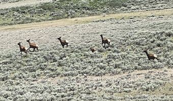 620 N COTTONWOOD Rd, Daniel, WY 83115