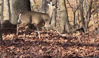 451403 Pheasant Cir Lot 56, Afton, OK 74331