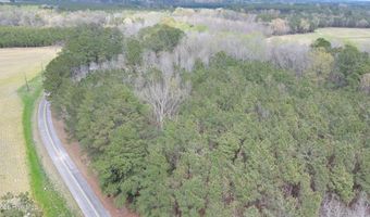 NE S Sr 1134, Ahoskie, NC 27910