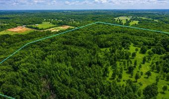 58 Acres Naples Ln, Arab, AL 35016