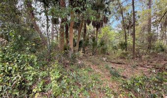 COUNTY ROAD 445A, Astor, FL 32102
