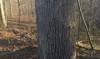 3129 Straight Frk, Alkol, WV 25501