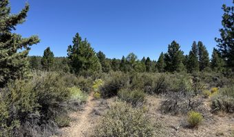 Bufflehead Drive 18, Bonanza, OR 97623