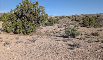 Mabel Trail 3.12 Acres, Caliente, NV 89008