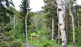 1256 Basking Dog Rd, Bellvue, CO 80512