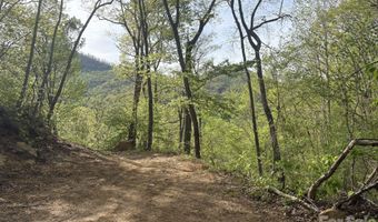 999999 Harwood Rd 2, Barnardsville, NC 28709