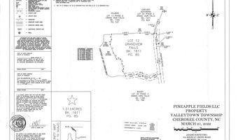 200 Conager Trl, Andrews, NC 28901