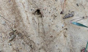 Hwy 9, Bruce, MS 38915