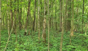 45 Acres 108th Ave, Allegan, MI 49010