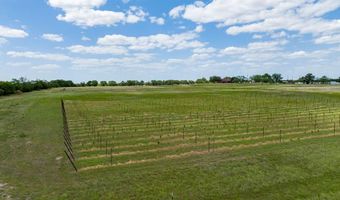 8526 N Fm 1744, Hico, TX 76457