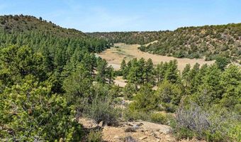 1788 Foxfire Rd, Bayfield, CO 81122