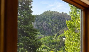 119 E Cooper Ave 25, Aspen, CO 81611