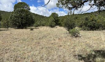 415 XYZ, Arenas Valley, NM 88022