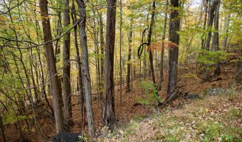 595 Rock Creek Ridge Rd, Bakersville, NC 28705
