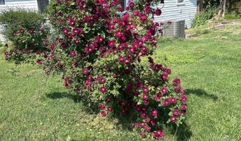 6896 N Farm Rd 1, Ash Grove, MO 65604