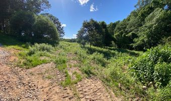 Tract 2 Hwy 51S, Homer, GA 30547