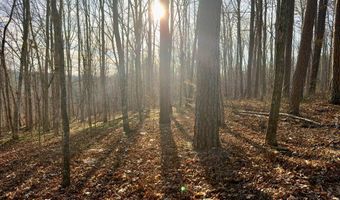 Muddy Ridge Rd, Adams, KY 41201