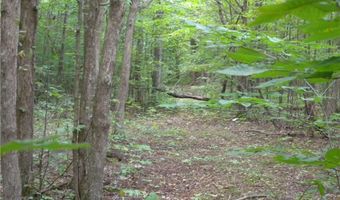 1454 Crane Ln, Woodhull, NY 14801