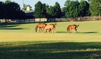 450 Addor Rd, Aberdeen, NC 28315