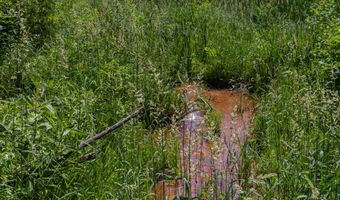 28 Mile Rd, Albion, MI 49224