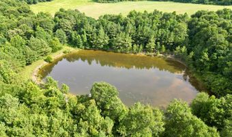 County Road 127, Banks, AL 36005